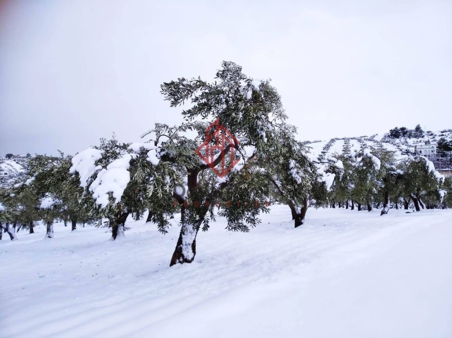 (Προς Πώληση) Αξιοποιήσιμη Γη Αγροτεμάχιο || Ν. Εύβοιας/Αυλίδα - 8.139 τ.μ, 400.000€ 