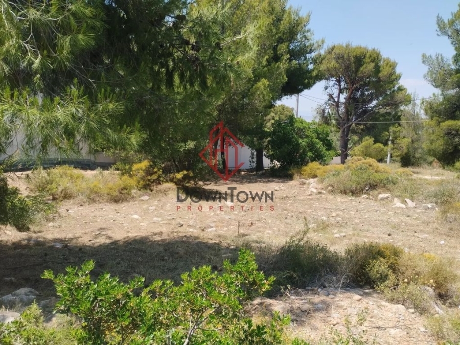 (For Sale) Land Plot || Athens North/Chalandri - 560 Sq.m, 620.000€ 